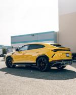 Lamborghini Urus by Impressive Wrap 2019 года